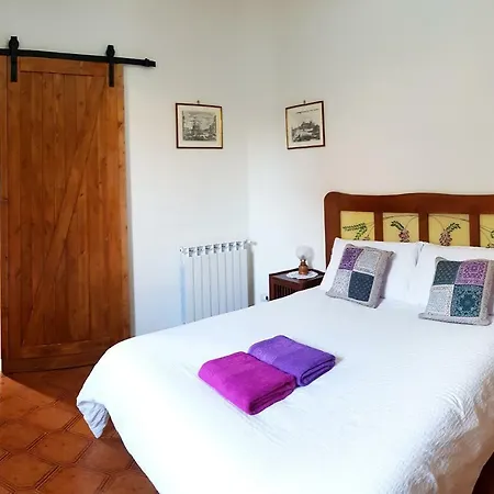 Il Giardino Al Pigneto *