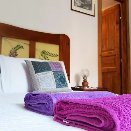 Il Giardino Al Pigneto Tatil Evi Roma